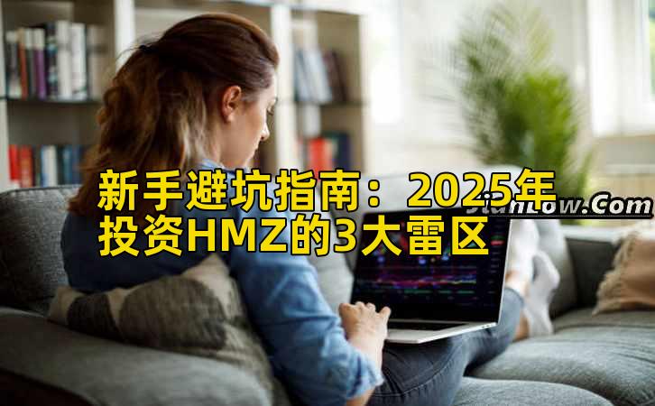 新手避坑指南:2025年投资HMZ的3大雷区