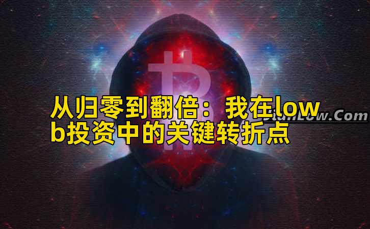 从归零到翻倍：我在lowb投资中的关键转折点