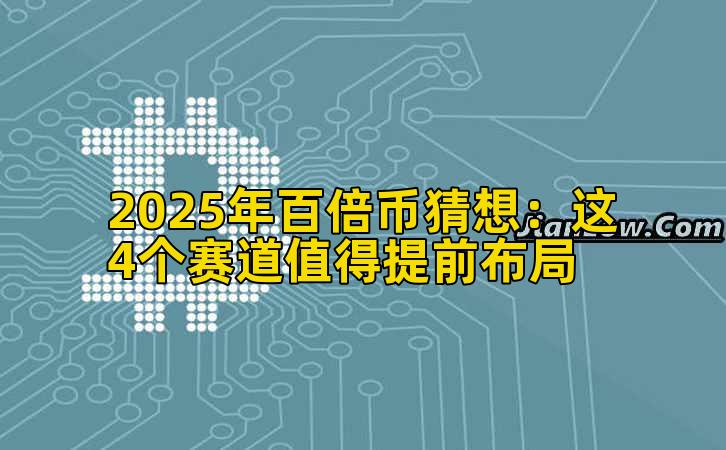 2025年百倍币猜想：这4个赛道值得提前布局