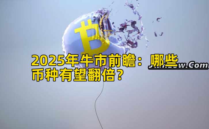 2025年牛市前瞻：哪些币种有望翻倍？