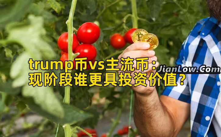 trump币vs主流币：现阶段谁更具投资价值？