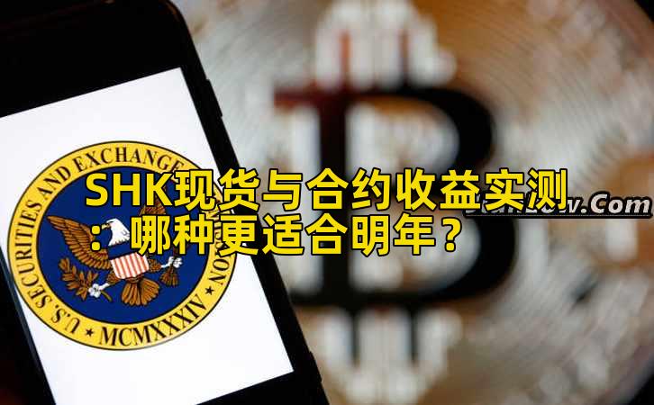 SHK现货与合约收益实测：哪种更适合明年？