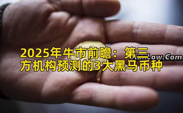 2025年牛市前瞻：第三方机构预测的3大黑马币种