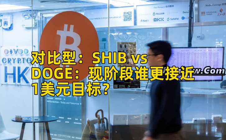 对比型：SHIB vs DOGE：现阶段谁更接近1美元目标？