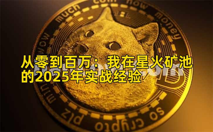 从零到百万：我在星火矿池的2025年实战经验
