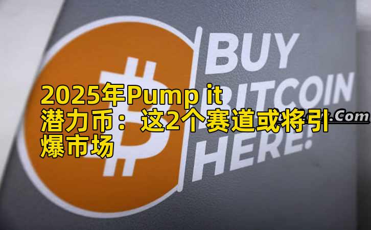 2025年Pump it潜力币：这2个赛道或将引爆市场