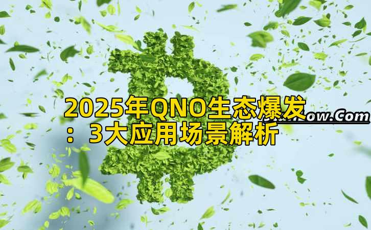 2025年QNO生态爆发：3大应用场景解析