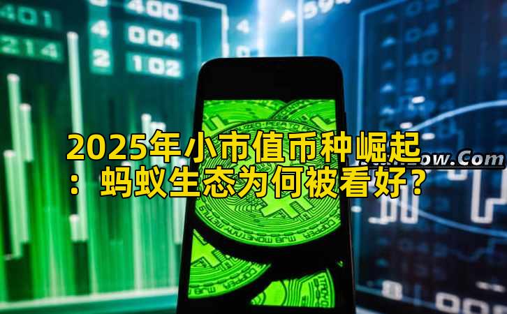 2025年小市值币种崛起：蚂蚁生态为何被看好？