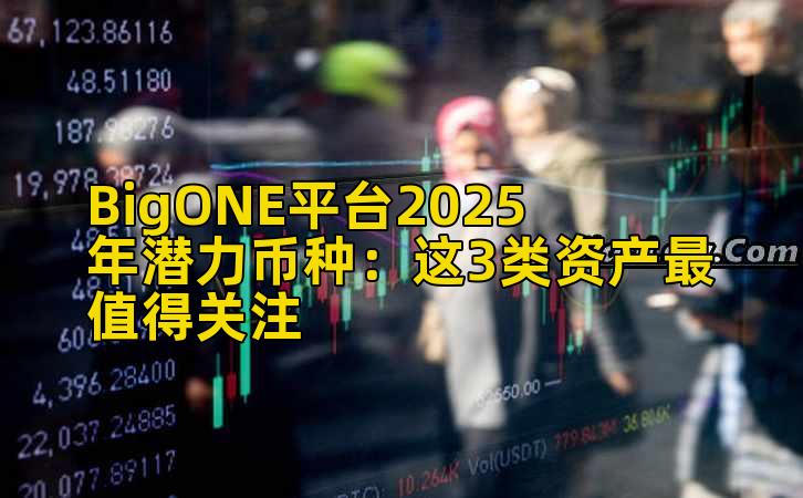 BigONE平台2025年潜力币种：这3类资产最值得关注