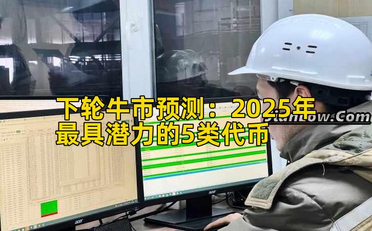 下轮牛市预测:2025年最具潜力的5类代币