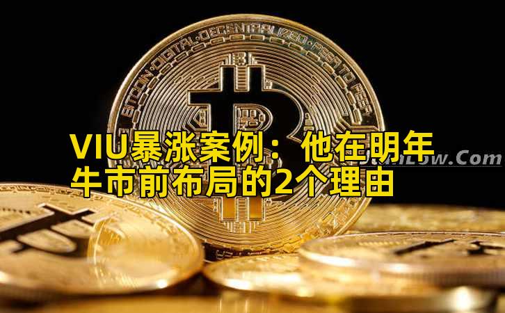 VIU暴涨案例：他在明年牛市前布局的2个理由