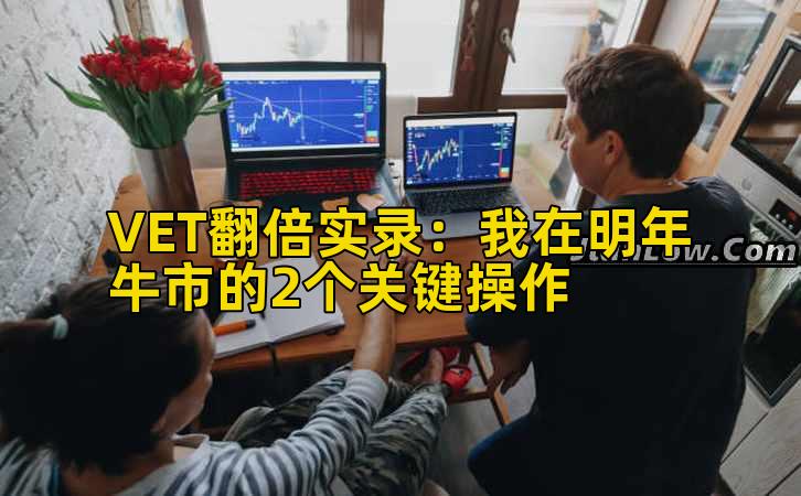 VET翻倍实录：我在明年牛市的2个关键操作