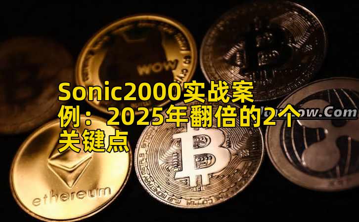 Sonic2000实战案例:2025年翻倍的2个关键点