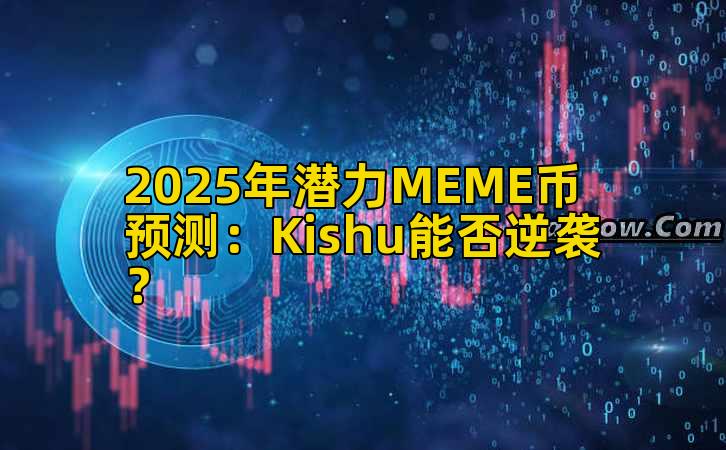 2025年潜力MEME币预测：Kishu能否逆袭？
