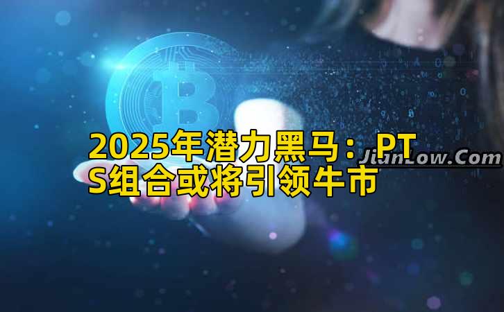 2025年潜力黑马：PTS组合或将引领牛市