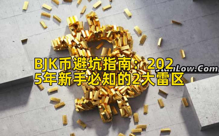 BJK币避坑指南:2025年新手必知的2大雷区