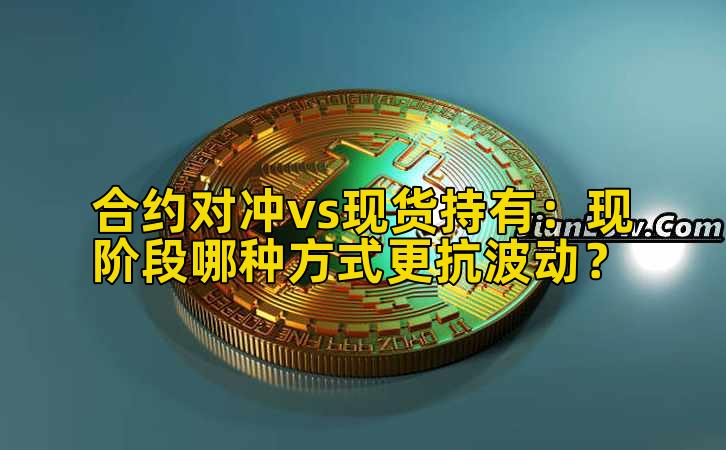 合约对冲vs现货持有:现阶段哪种方式更抗波动?