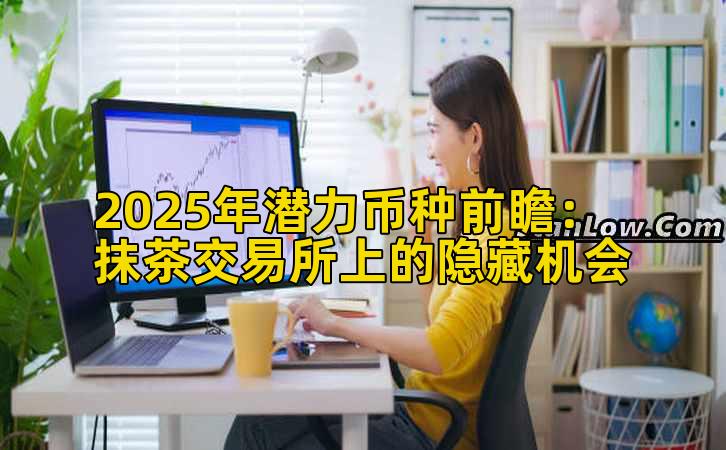 2025年潜力币种前瞻：抹茶交易所上的隐藏机会