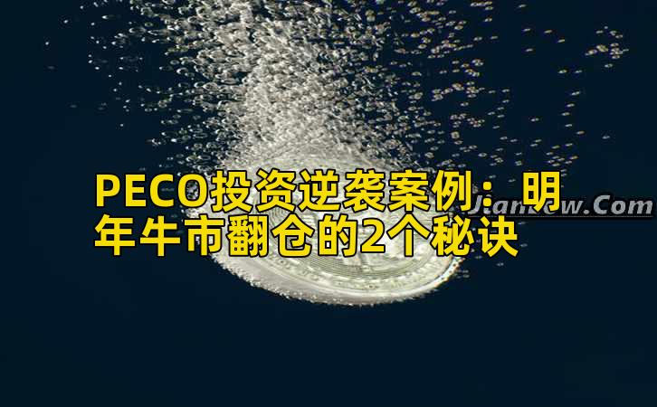 PECO投资逆袭案例：明年牛市翻仓的2个秘诀