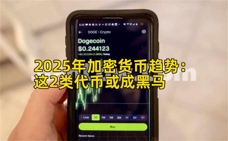 2025年加密货币趋势：这2类代币或成黑马
