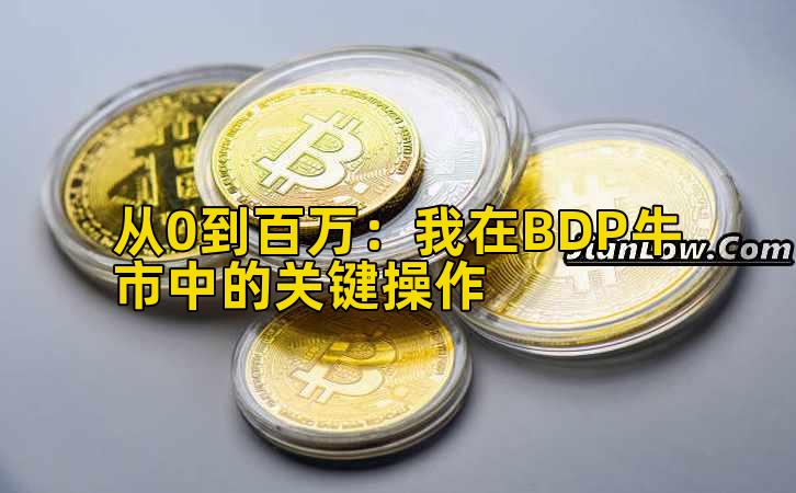 从0到百万：我在BDP牛市中的关键操作