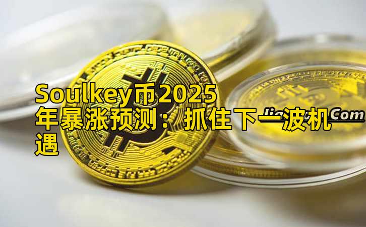 Soulkey币2025年暴涨预测：抓住下一波机遇
