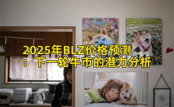 2025年BLZ价格预测：下一轮牛市的潜力分析