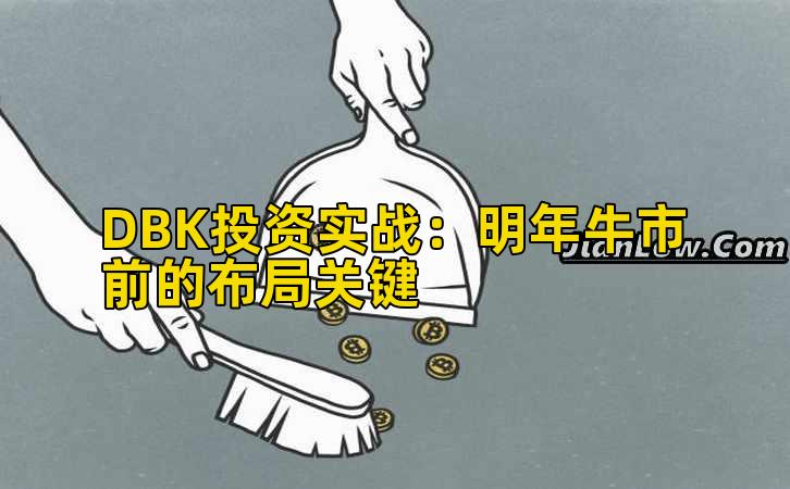 DBK投资实战:明年牛市前的布局关键