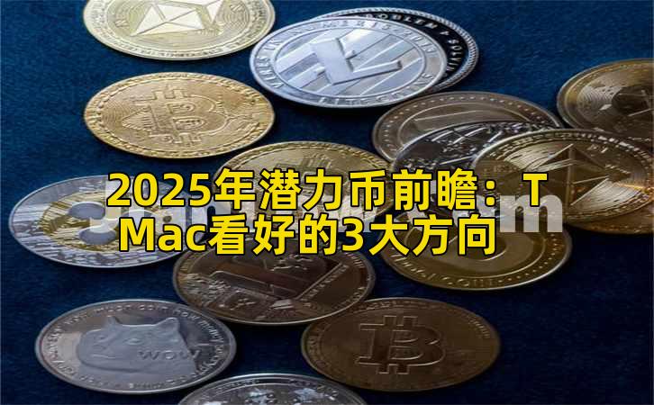 2025年潜力币前瞻：T Mac看好的3大方向