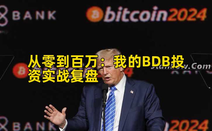 从零到百万：我的BDB投资实战复盘