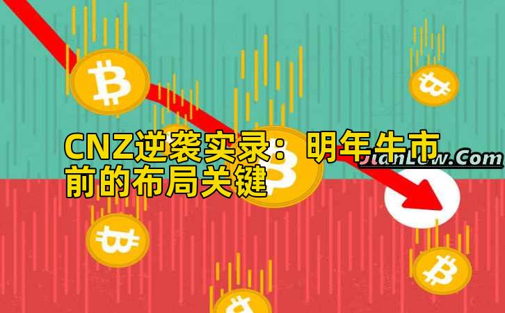 CNZ逆袭实录：明年牛市前的布局关键