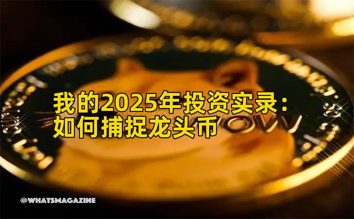 我的2025年投资实录:如何捕捉龙头币
