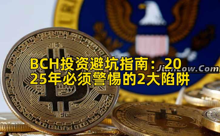 BCH投资避坑指南：2025年必须警惕的2大陷阱