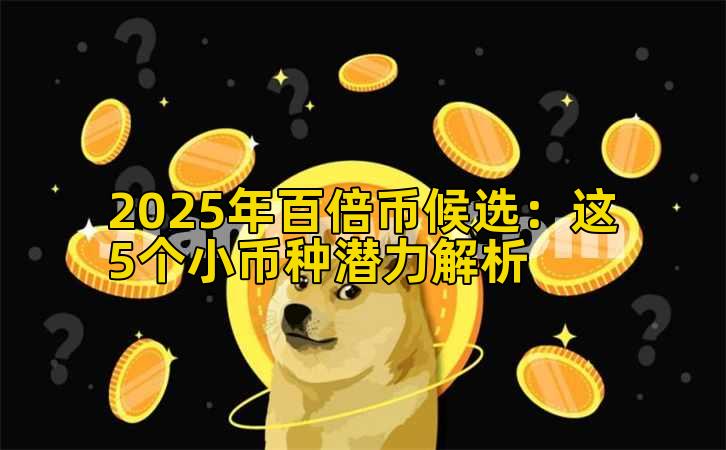 2025年百倍币候选：这5个小币种潜力解析