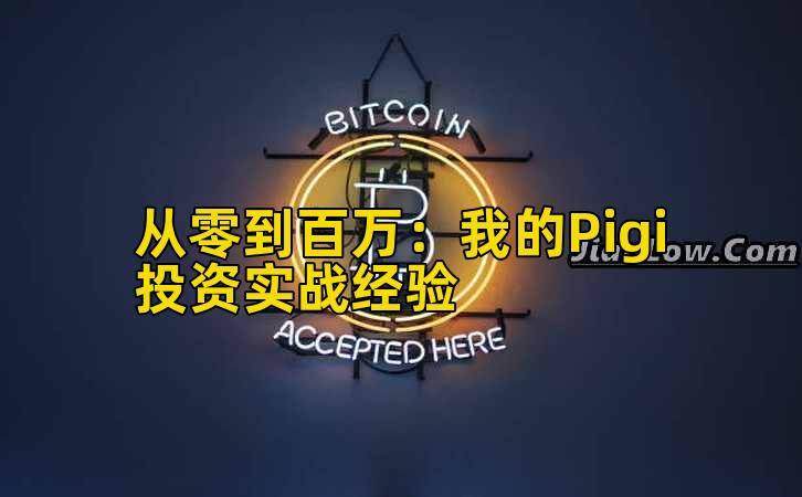 2026年行情分析:我的Pigi投资实战经验
