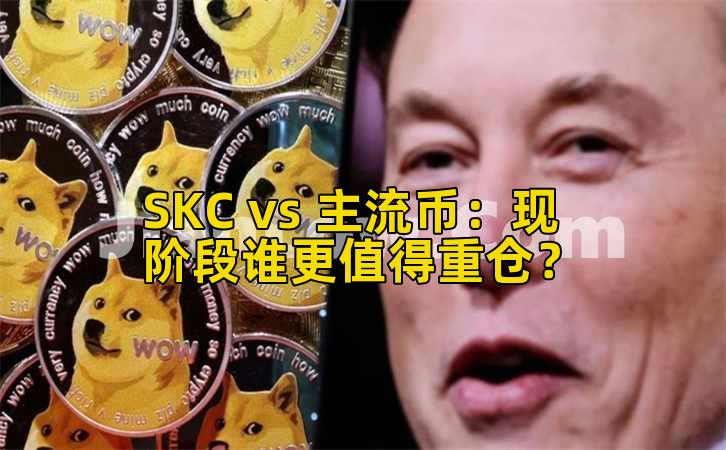 SKC vs 主流币:现阶段谁更值得重仓?