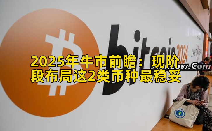 2025年牛市前瞻：现阶段布局这2类币种最稳妥