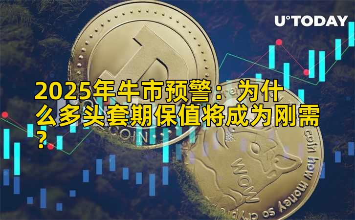 2025年牛市预警：为什么多头套期保值将成为刚需？