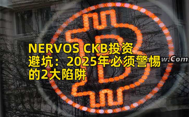 NERVOS CKB投资避坑：2025年必须警惕的2大陷阱