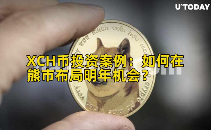 XCH币投资案例：如何在熊市布局明年机会？