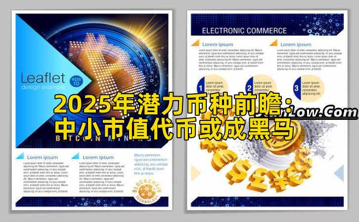 2025年潜力币种前瞻：中小市值代币或成黑马