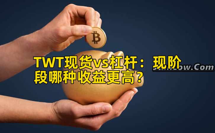 TWT现货vs杠杆：现阶段哪种收益更高？