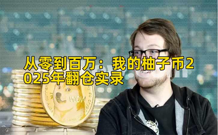2026年行情分析:我的柚子币2025年加仓实录