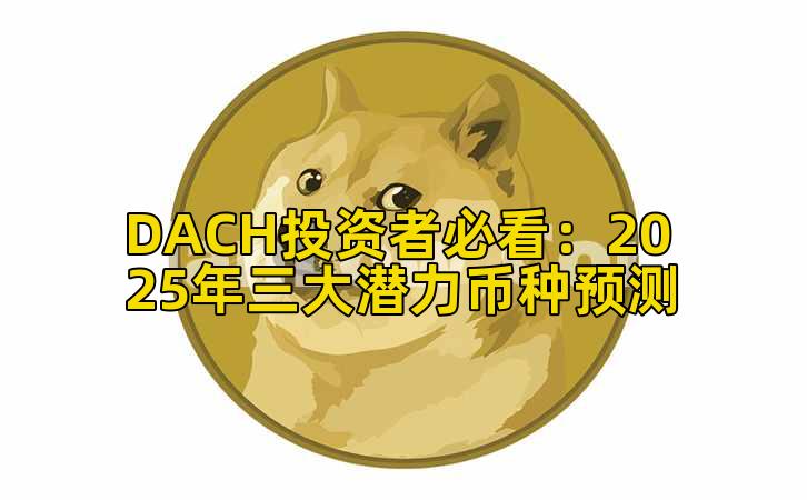 DACH投资者必看:2025年三大潜力币种预测