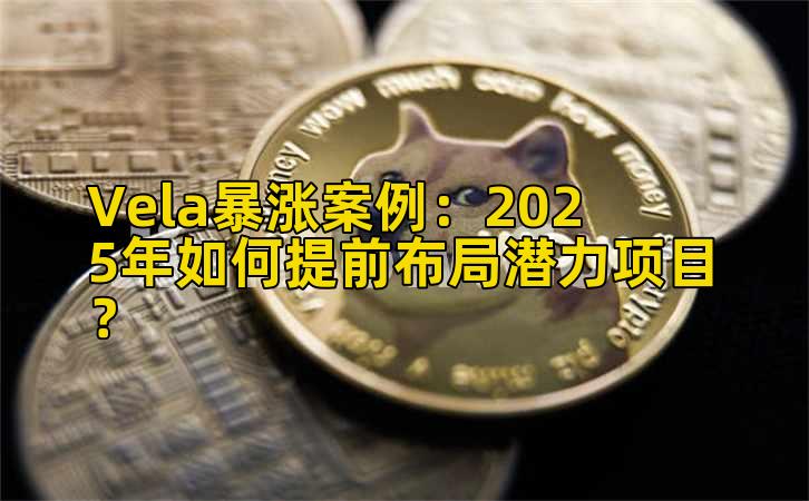 Vela暴涨案例：2025年如何提前布局潜力项目？