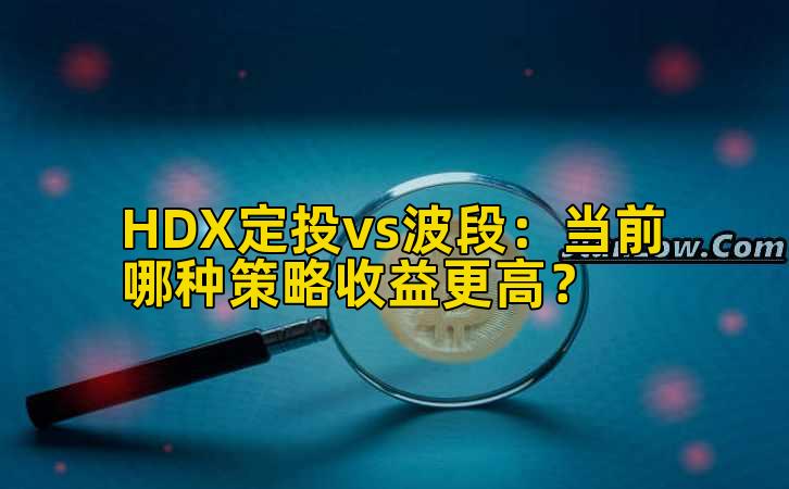 HDX定投vs波段:当前哪种策略收益更高?