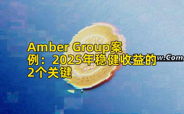 Amber Group案例:2025年稳健收益的2个关键