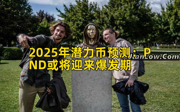 2025年潜力币预测：PND或将迎来爆发期