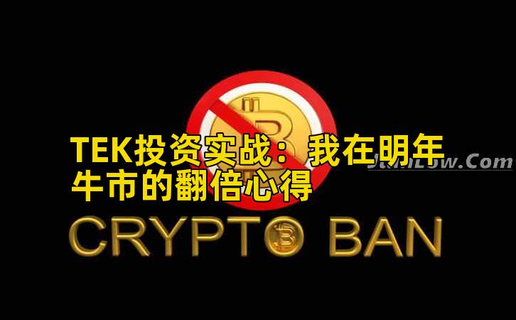 TEK投资实战：我在明年牛市的翻倍心得