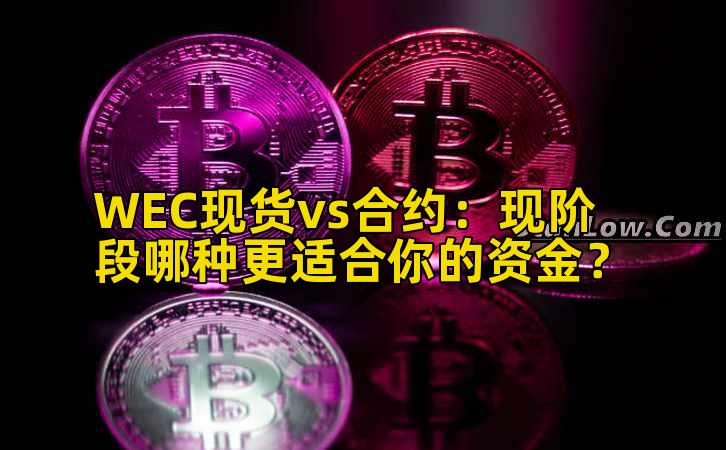 WEC现货vs合约:现阶段哪种更适合你的资金?